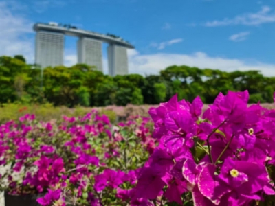 Singapore in summer